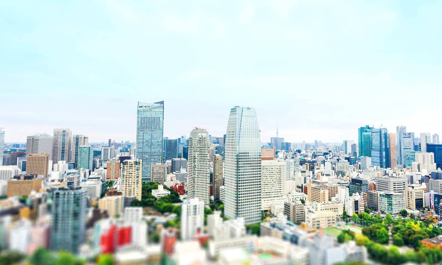 コンフィデンス画像
