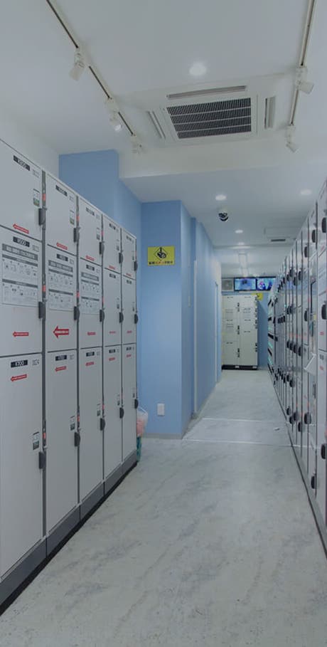 NOAH COMPANY LIMITED / 株式会社ノア