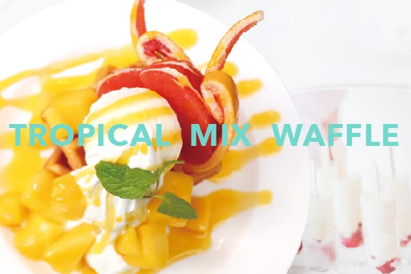 NOA COFFEE、NOA CAFE　2021年夏の季節限定メニューが始まります！